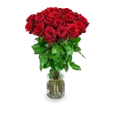 Kytice rudých růží